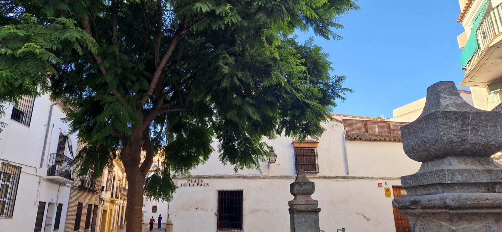 Terraza De La Axerquia Lejlighed Córdoba Eksteriør billede