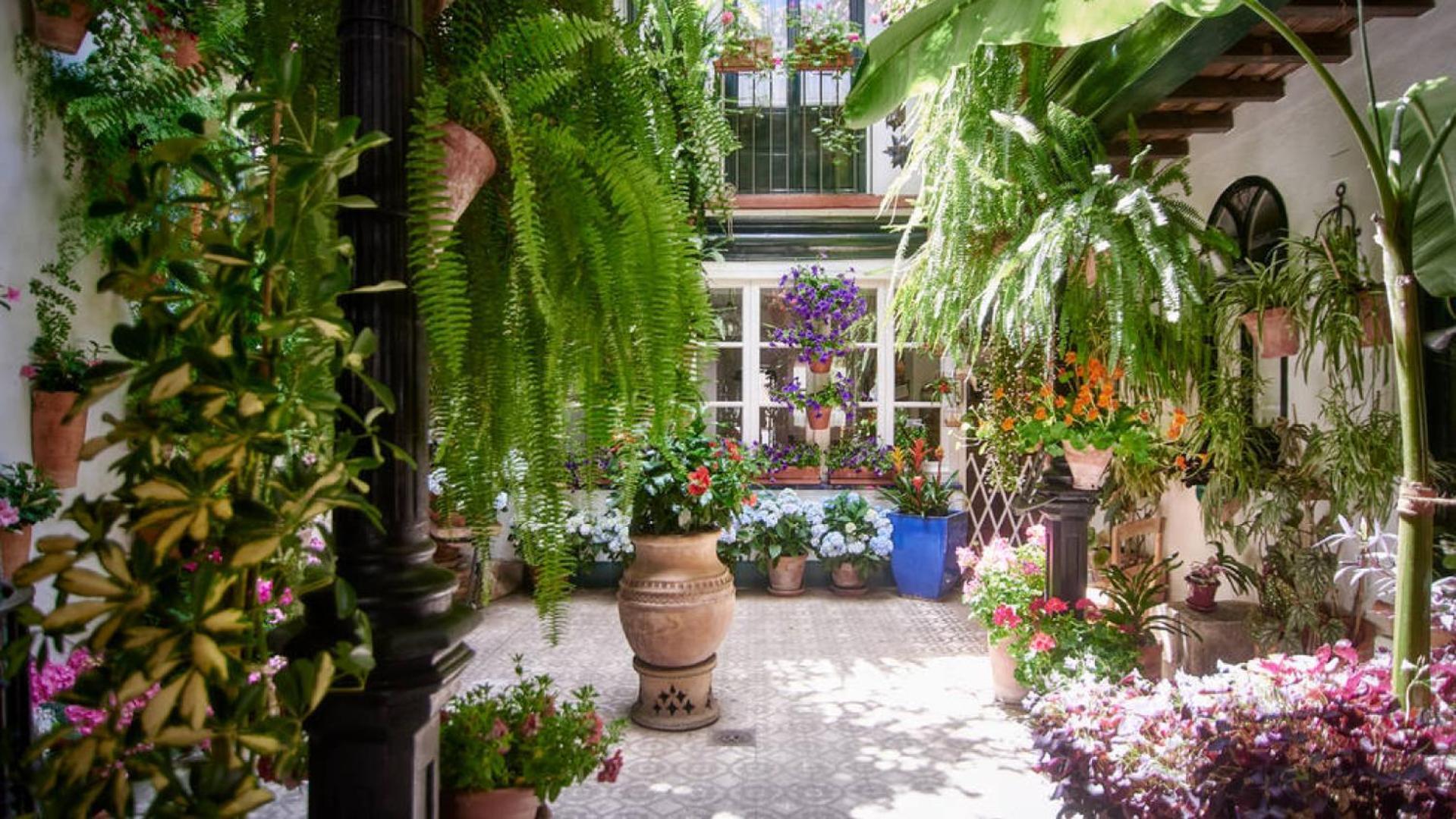 Terraza De La Axerquia Lejlighed Córdoba Eksteriør billede